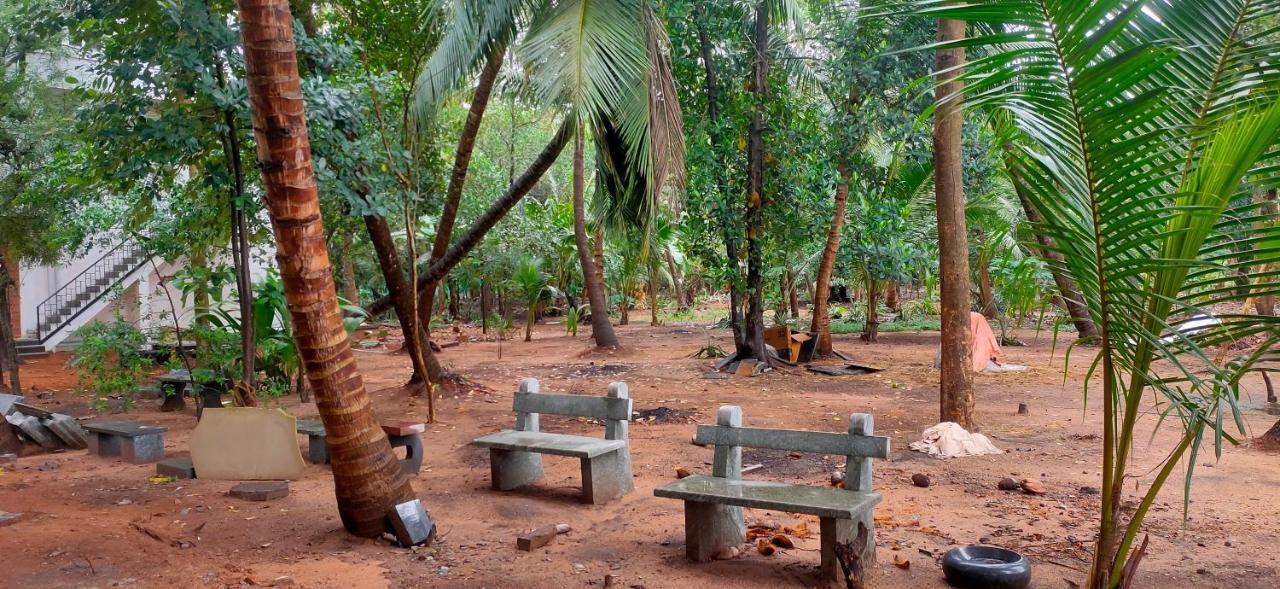 Evergreen Paradise Pondicherry Phòng bức ảnh